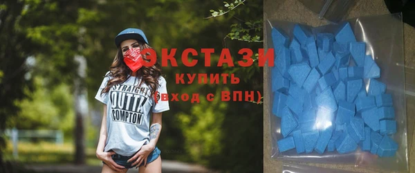 гидра Краснослободск