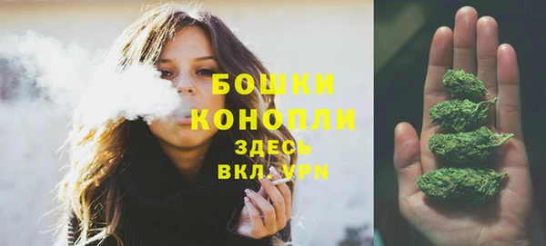 гидра Краснослободск