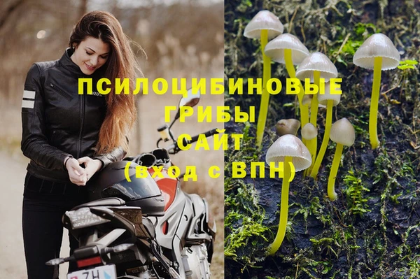ALPHA PVP Краснотурьинск