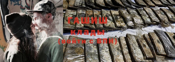 гидра Краснослободск