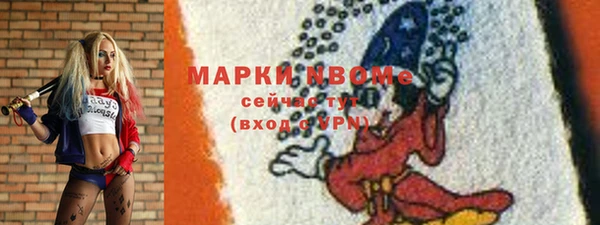 гидра Краснослободск
